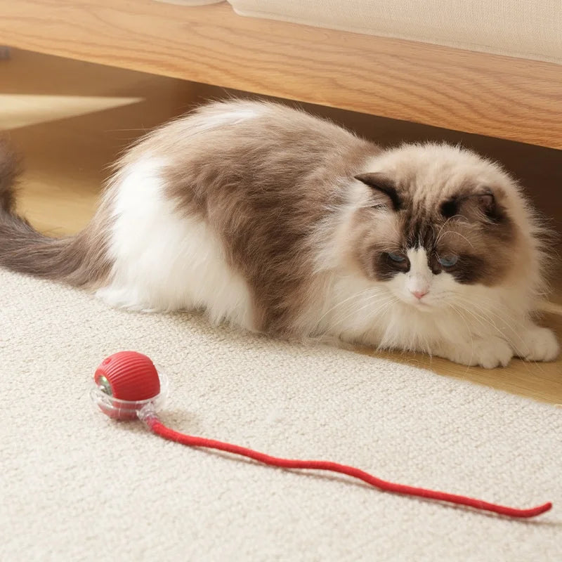 Smart Rechargeable Interactive Cat Toy – Automatic Rolling Ball for Pets & Dogs